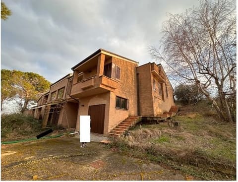 Photo of the lot 3