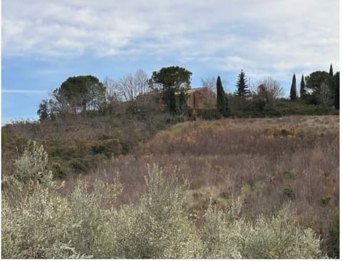 Photo of the lot 9