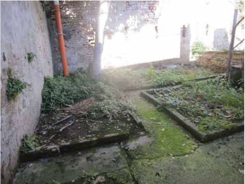Photo of the lot 2