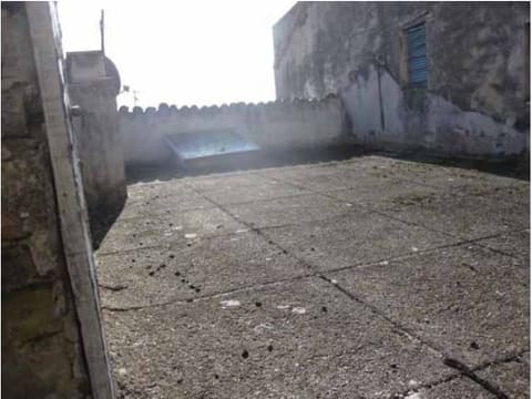 Photo of the lot 4