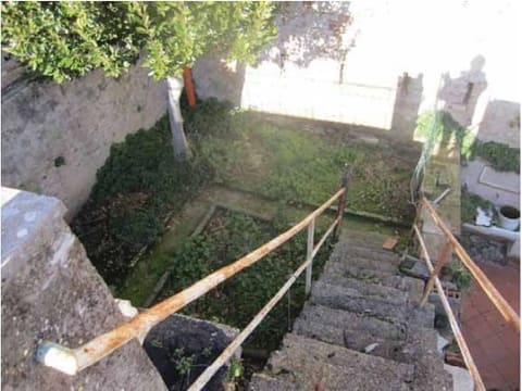 Photo of the lot 3