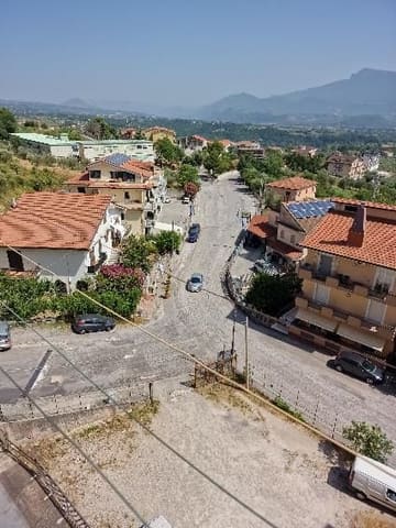 Photo of the lot 3