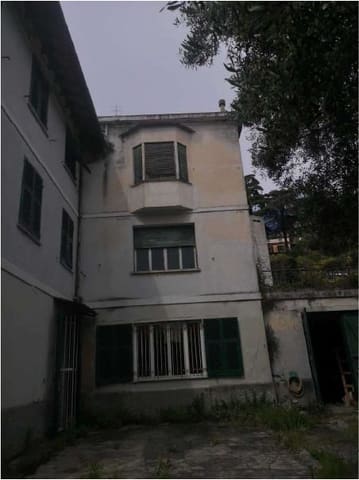 Photo of the lot 3