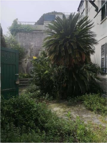 Photo of the lot 5
