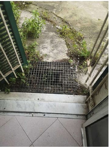 Photo of the lot 6