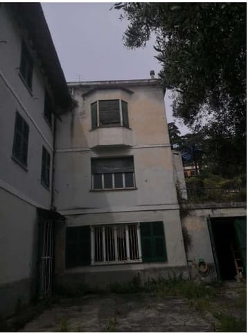 Photo of the lot 3