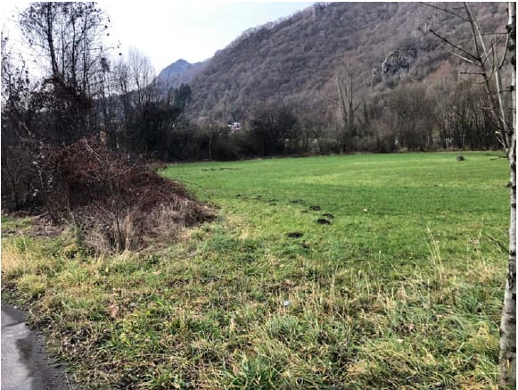 Foto del lotto: Altra categoria a Ballabio