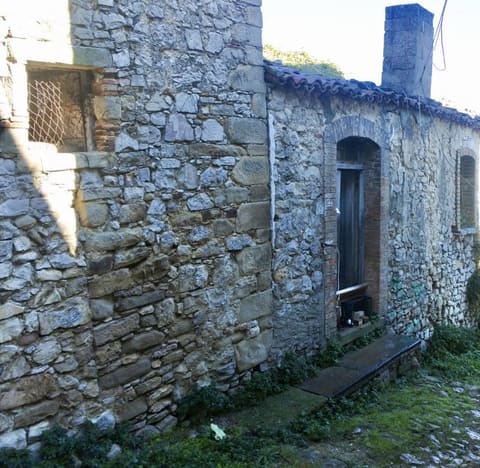 Photo of the lot 1