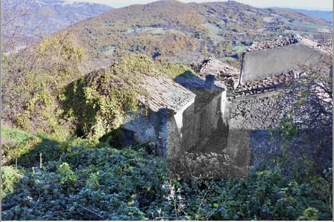 Photo of the lot 2