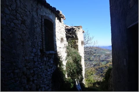 Photo of the lot 3