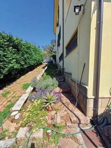 Photo of the lot 5