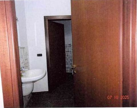 Foto del lotto 3