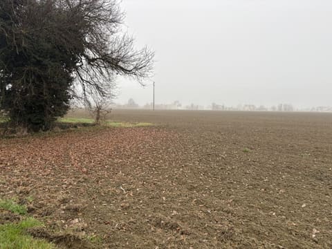 Foto: Terreno a Forlimpopoli (FC)