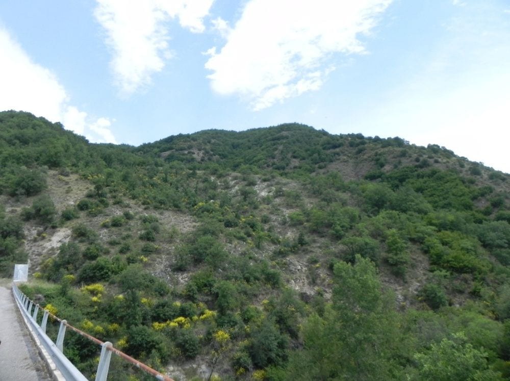 Photo of the lot: Altra categoria in Savoia di Lucania