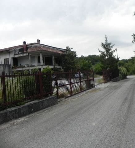 Photo of the lot 2