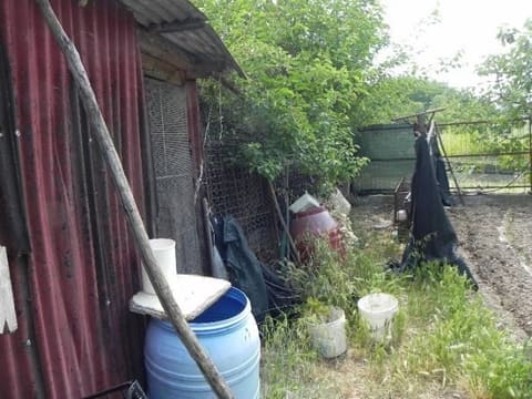 Photo of the lot 7