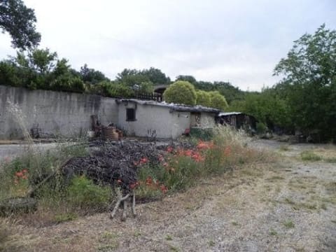 Photo of the lot 3