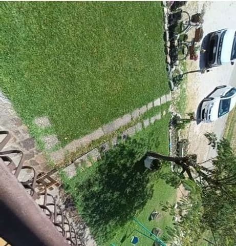 Foto del lotto 3