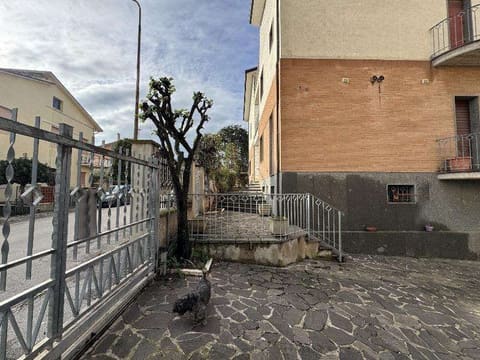 Photo of the lot 2
