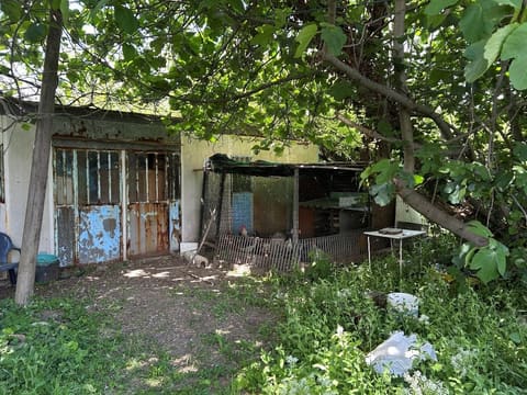 Photo of the lot 7