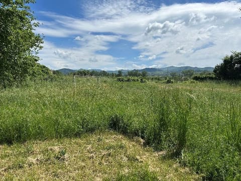 Photo of the lot 8