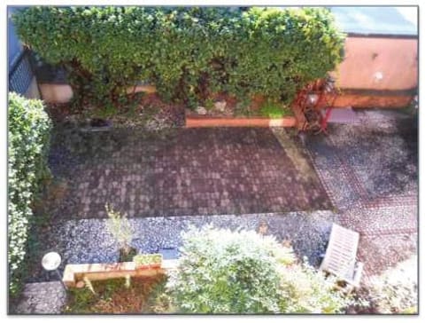 Photo of the lot 6