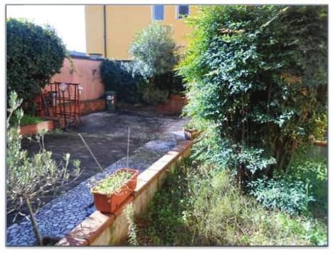 Photo of the lot 7