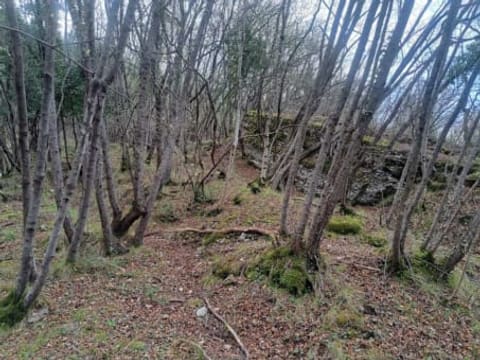 Foto: Altra categoria a Rovereto (TN)