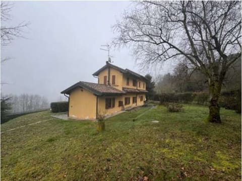 Photo of the lot 2