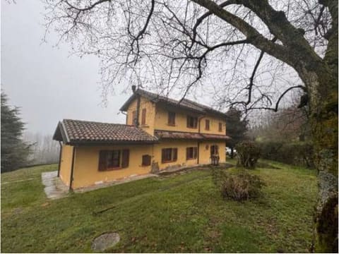 Photo of the lot 3