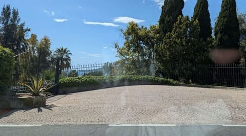 Photo of the lot 2