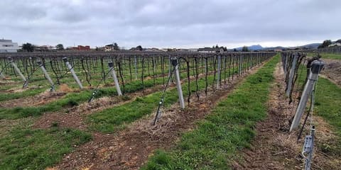 Photo: Altra categoria in Pescantina (VR)