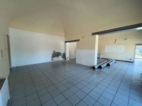 Photo of the lot 3