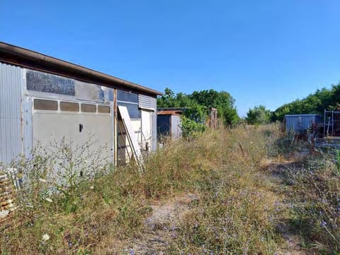 Photo of the lot 3