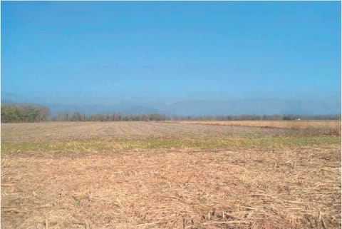 Foto: Altra categoria a Maniago (PN)