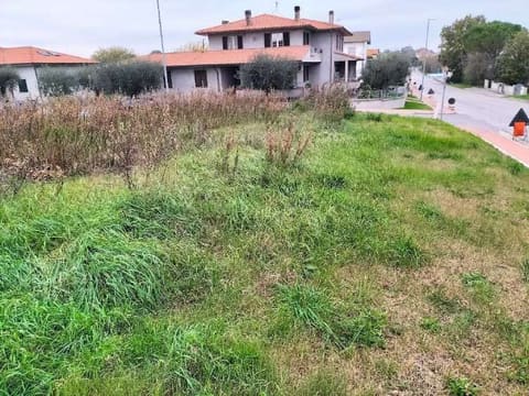 Foto: Altra categoria a Terre Roveresche (PU)