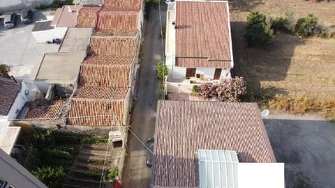 Photo of the lot 3