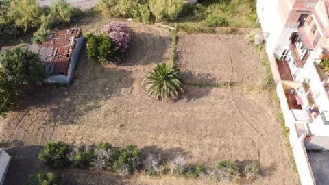 Photo of the lot 4
