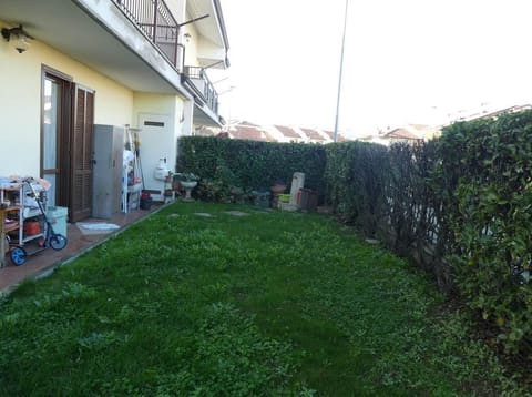 Photo of the lot 6