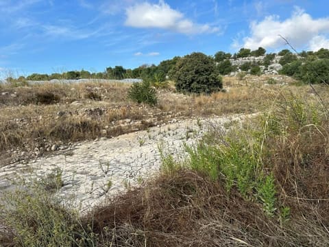 Photo of the lot 6