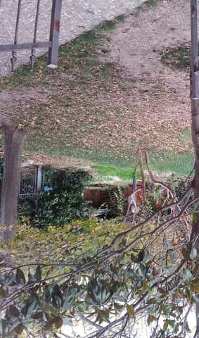 Photo of the lot 2