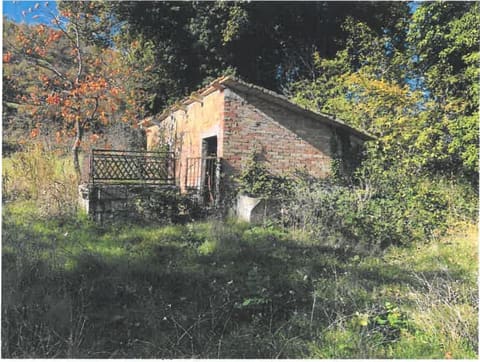Photo of the lot 5