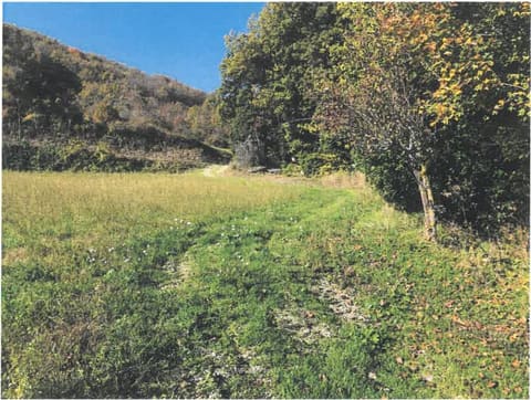 Photo of the lot 6