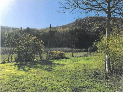 Photo of the lot 7