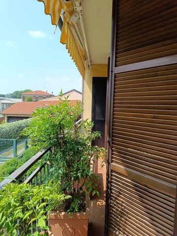 Photo of the lot 3