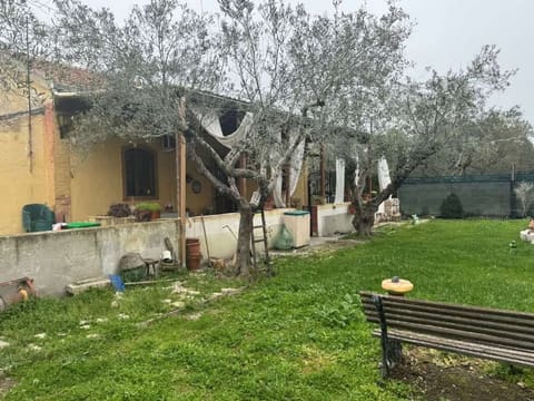 Photo of the lot 3