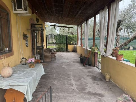 Photo of the lot 4