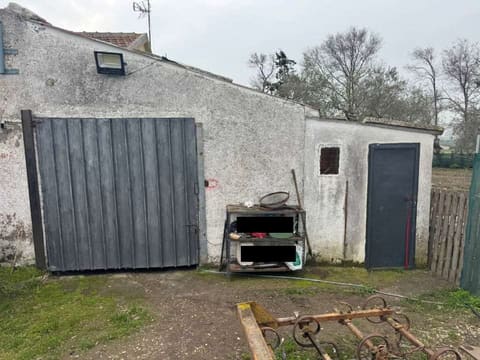 Photo of the lot 6
