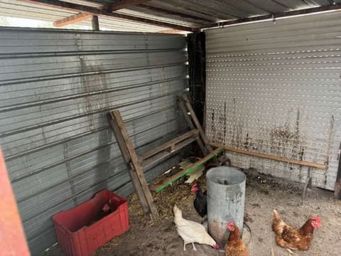 Photo of the lot 7