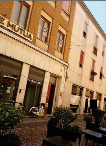 Photo of the lot 3